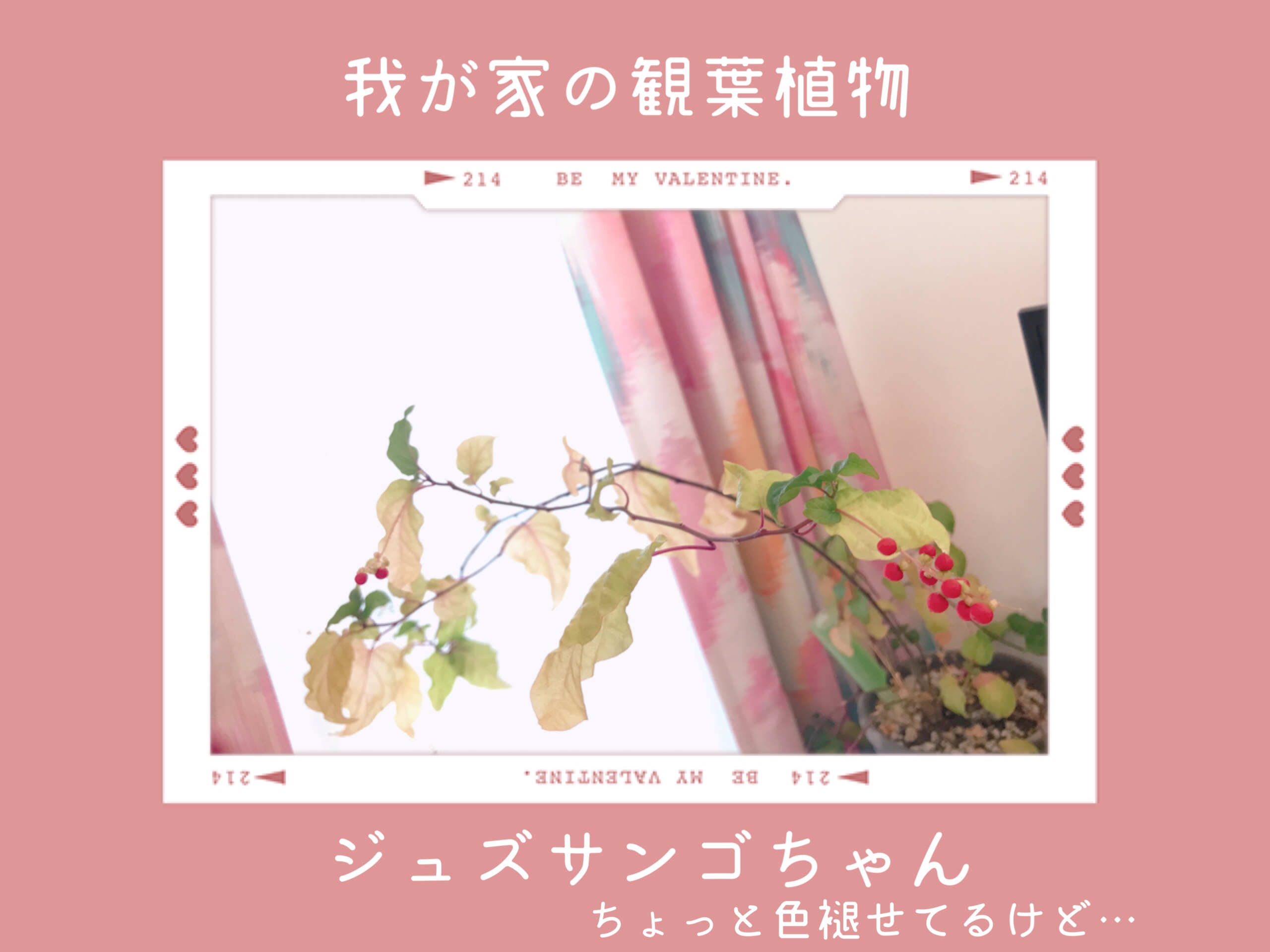 おづまりこ