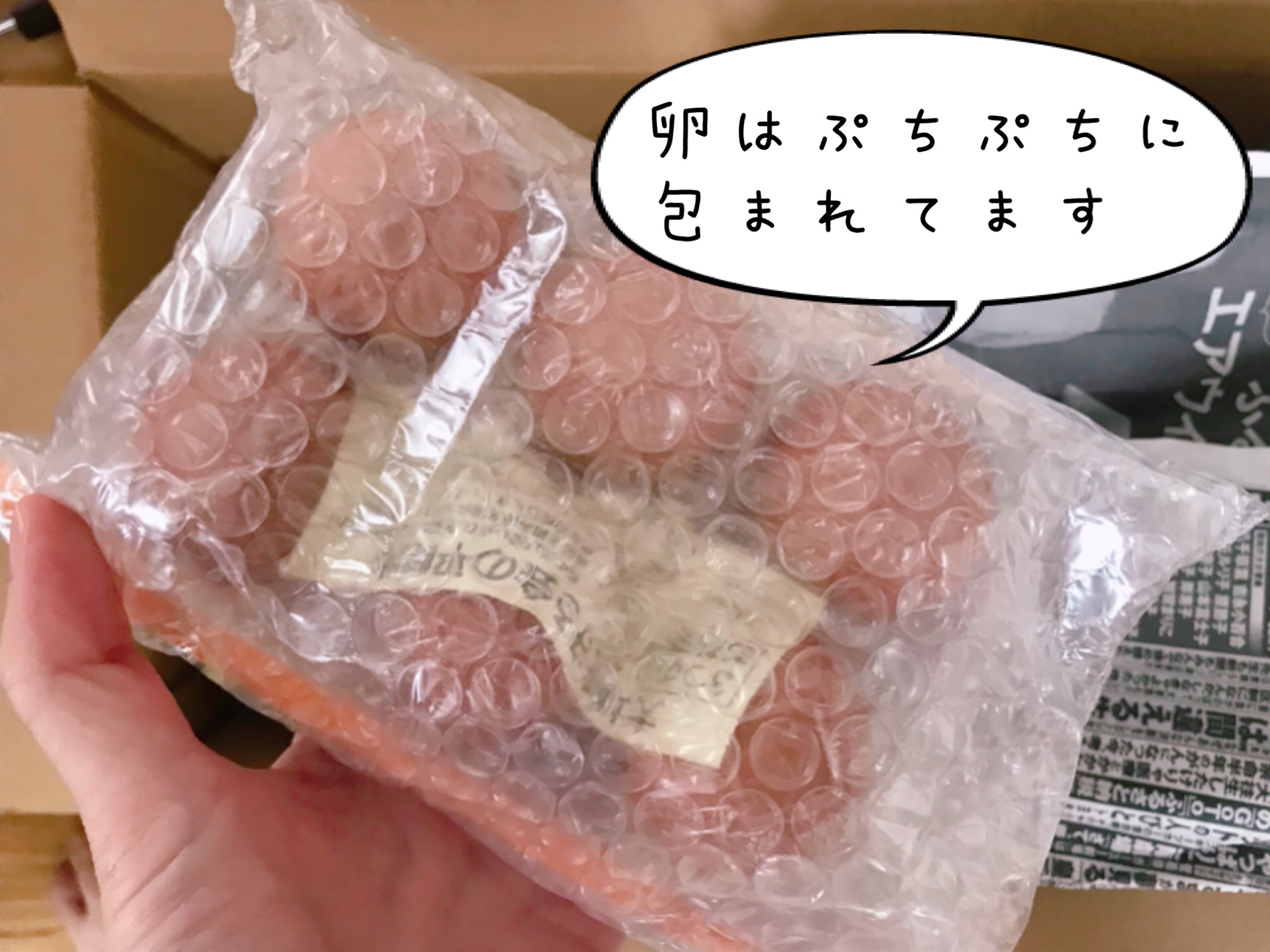 大地宅配 お試しセット