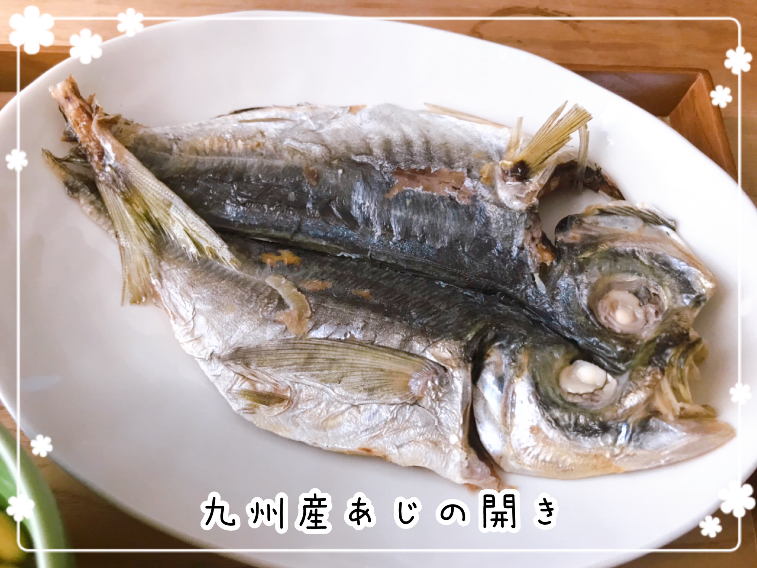 わんまいるの健幸ディナー口コミ
