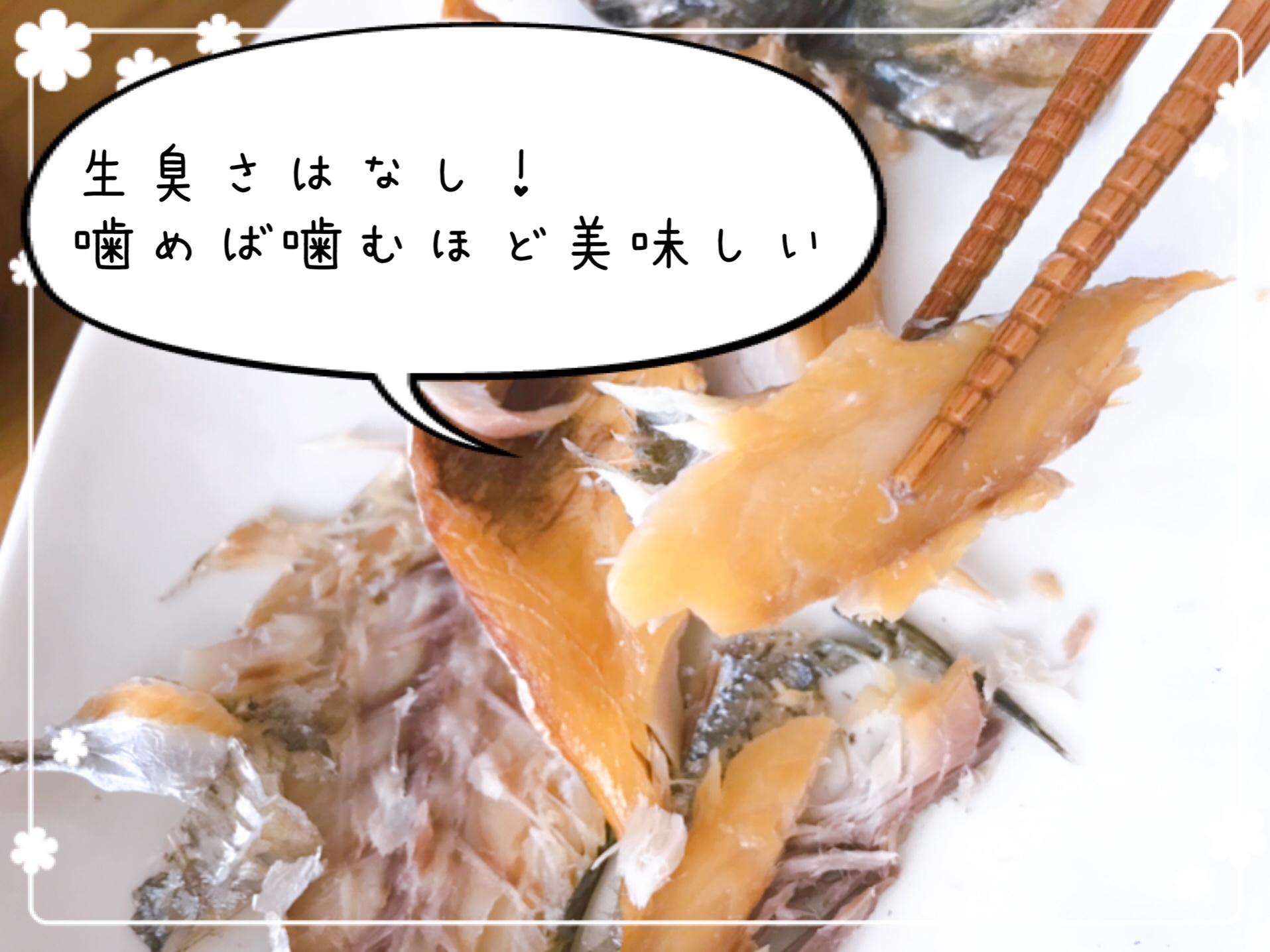 わんまいるの健幸ディナー口コミ