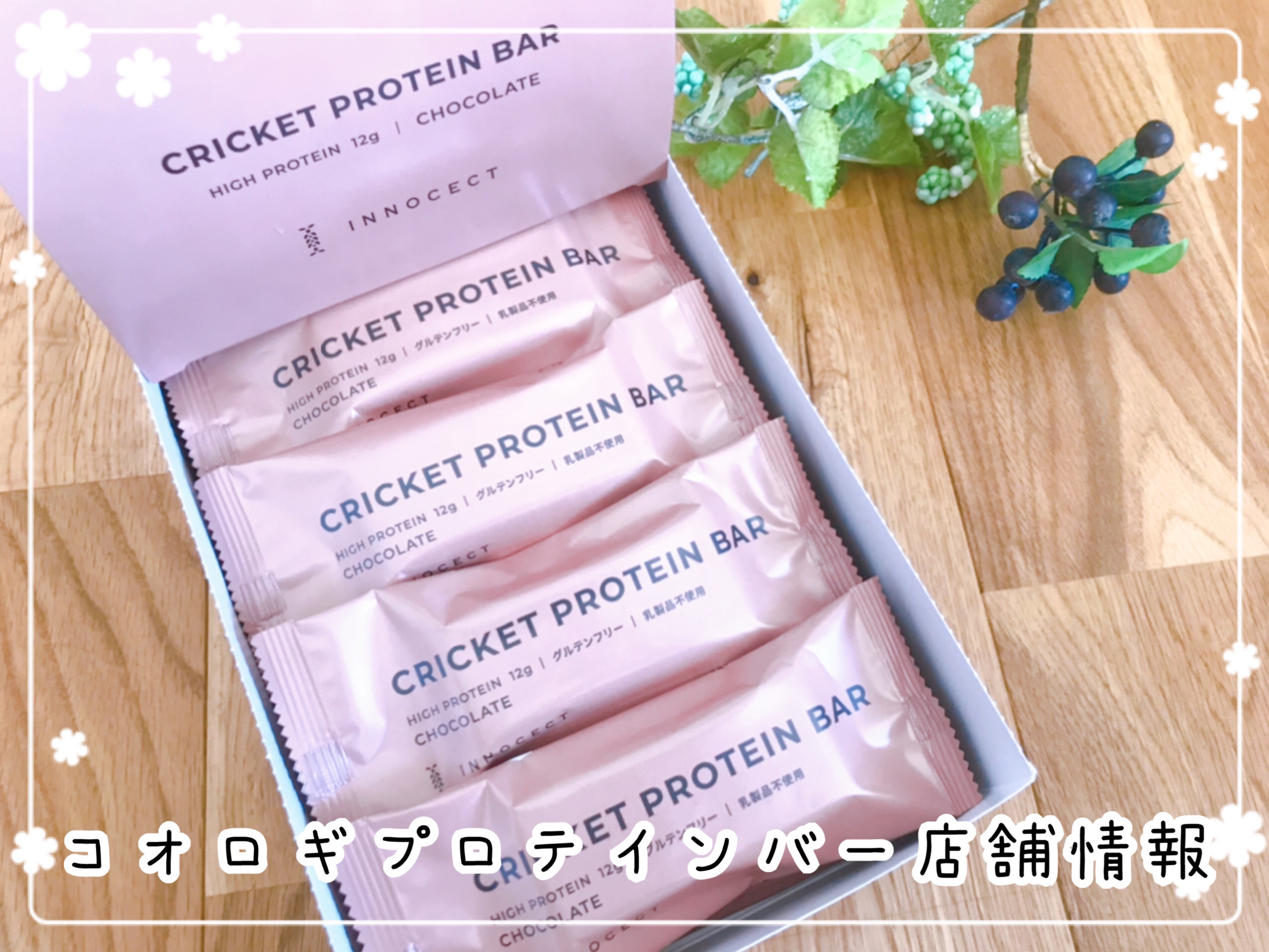 コオロギのプロテインバー