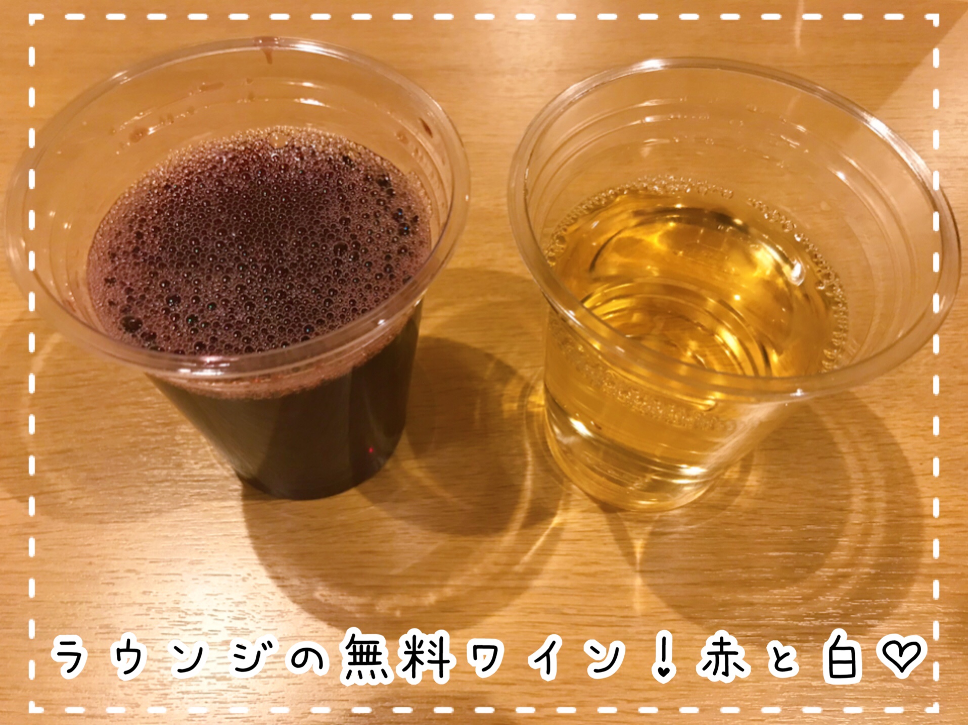 森の泉