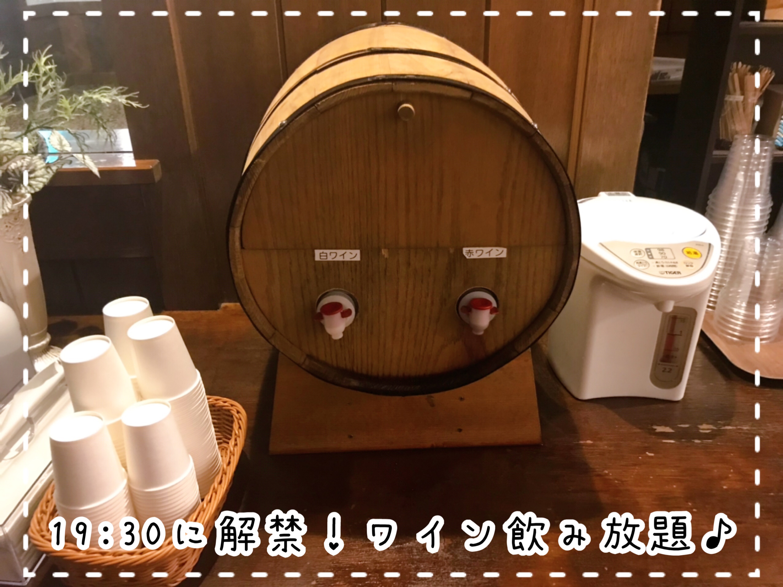 森の泉