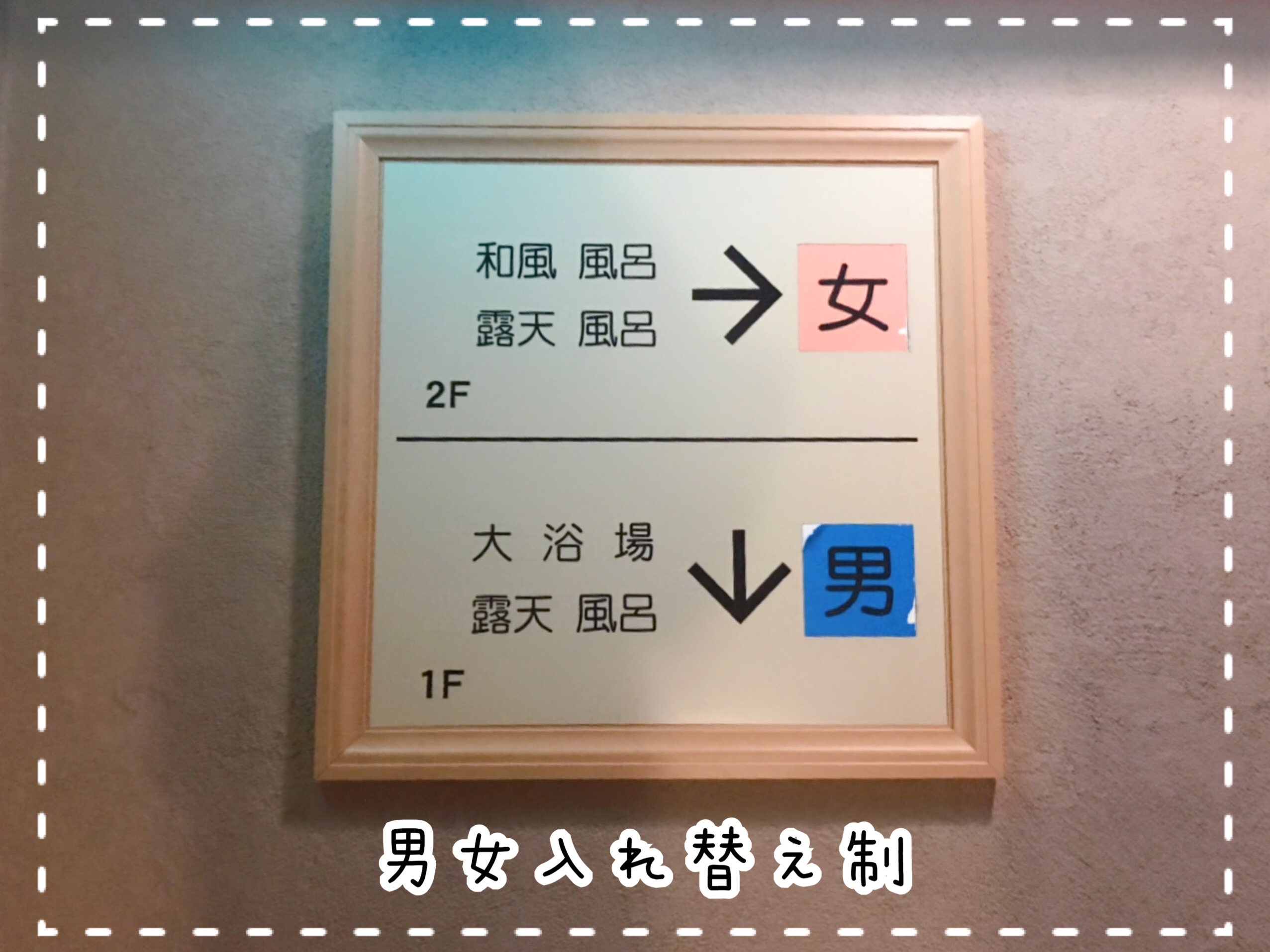 森の泉