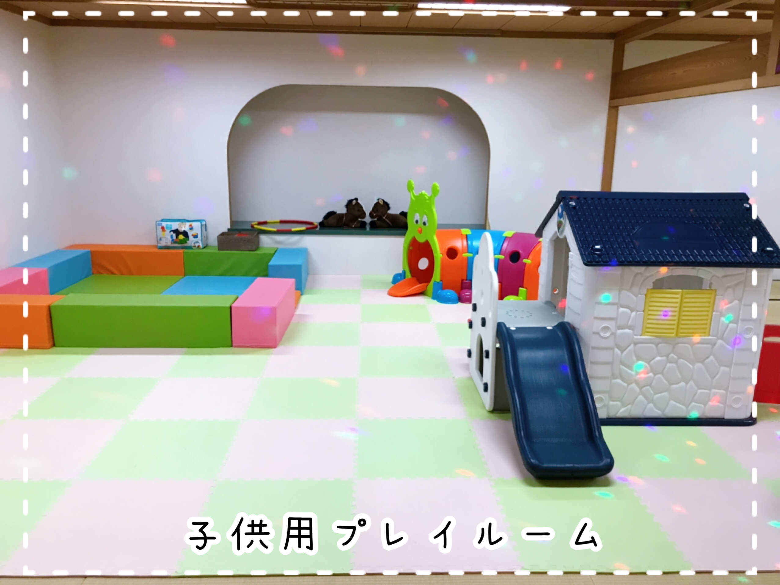 森の泉