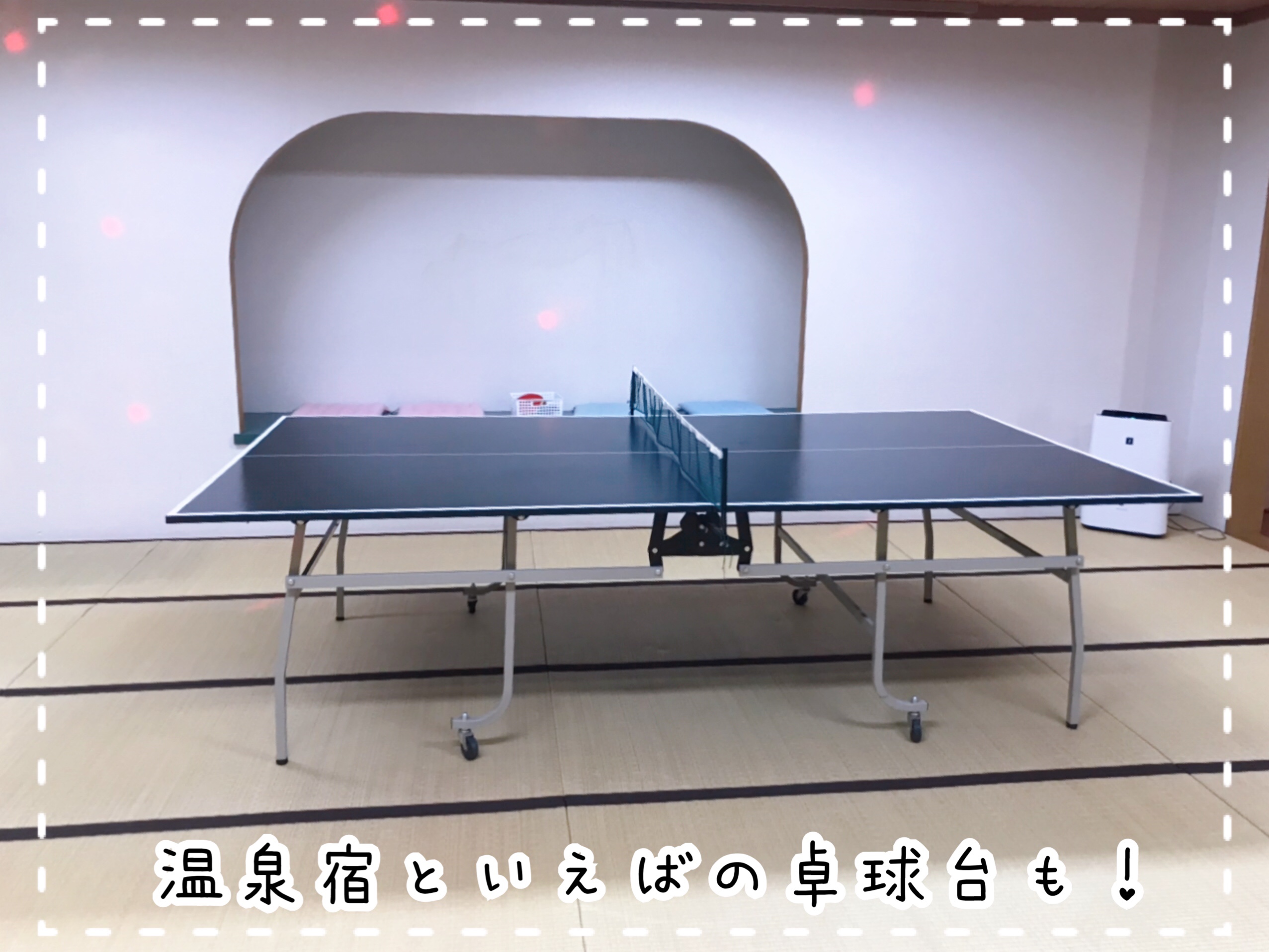 森の泉