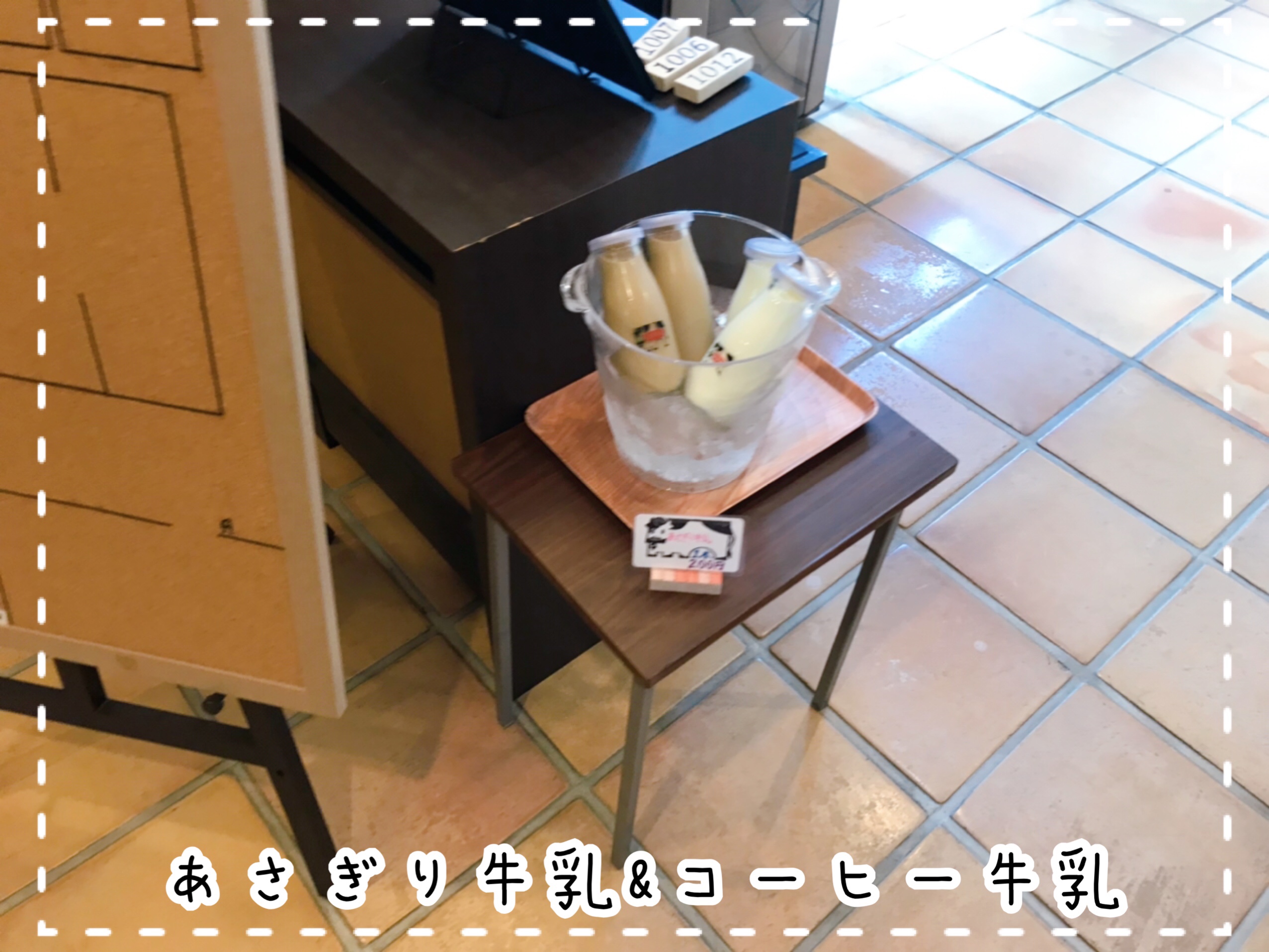 森の泉