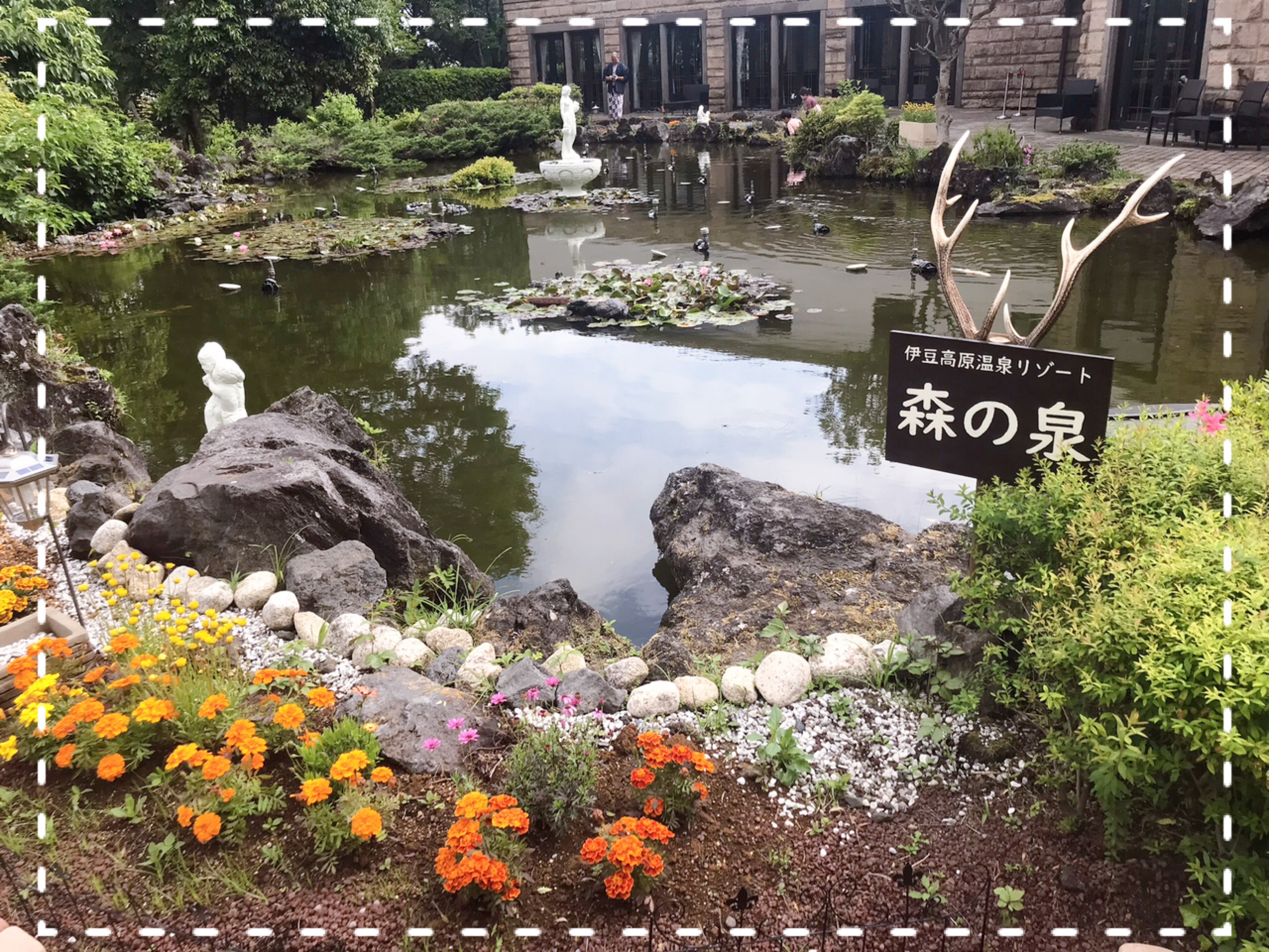 森の泉