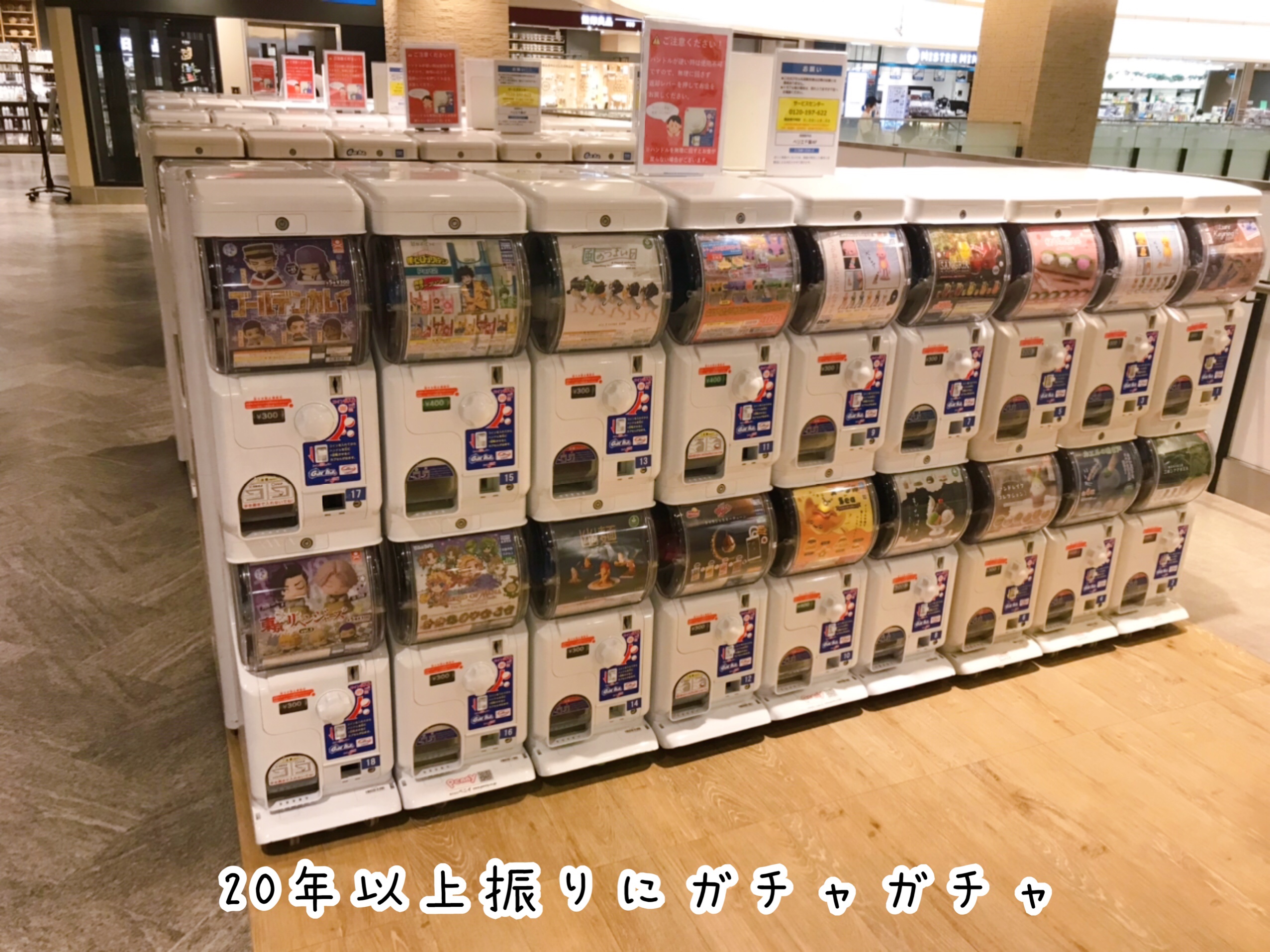 婚活疲れ 旅