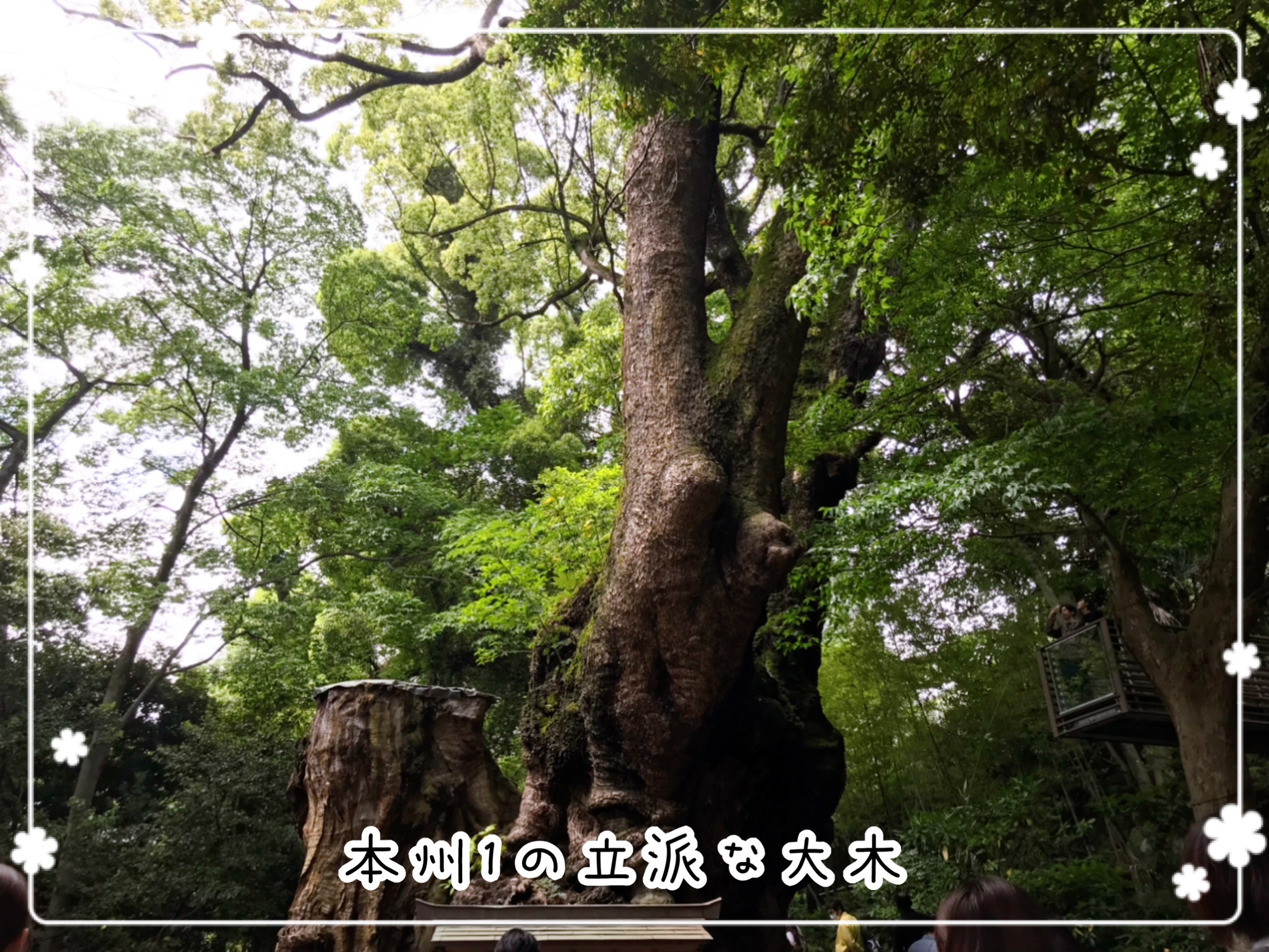 熱海旅行