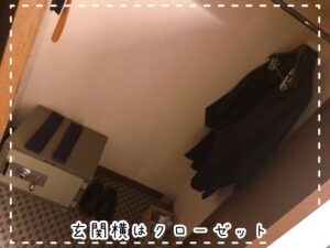 森の泉