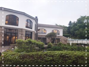 森の泉